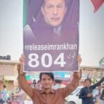 28 November 2024