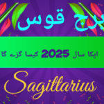 2025 for Sagittarius