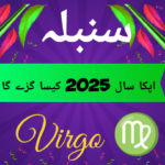 2025 for virgo