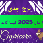2025 for Capricorn